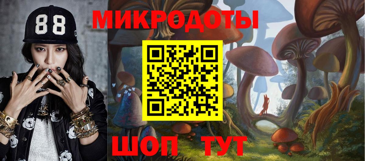 Каменск-Шахтинский  Псилоцибиновые грибы мицелий  Вход с VPN 